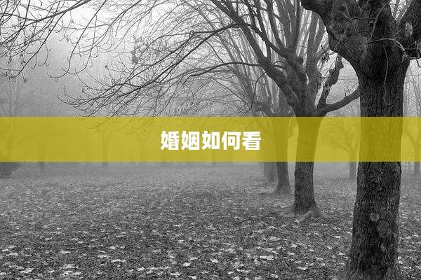 婚姻如何看