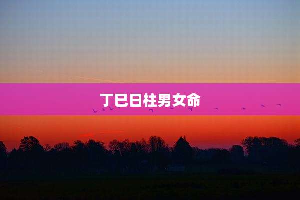 丁巳日柱男女命