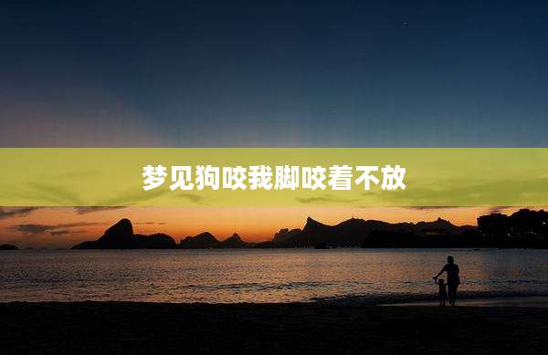 梦见狗咬我脚咬着不放