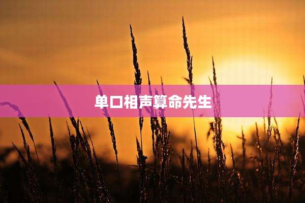 单口相声算命先生
