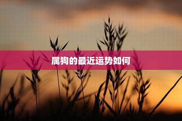 属狗的最近运势如何