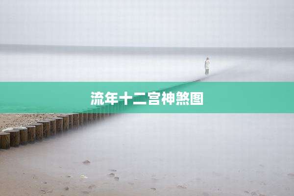 流年十二宫神煞图