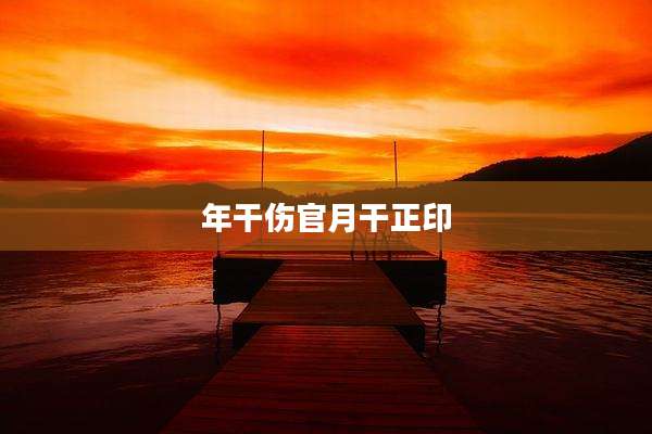 年干伤官月干正印