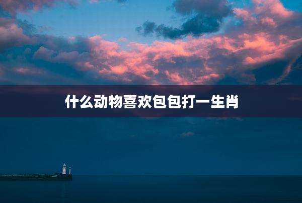 什么动物喜欢包包打一生肖