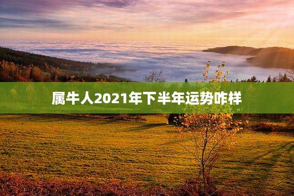 属牛人2021年下半年运势咋样
