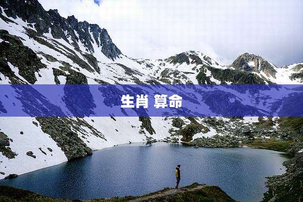 生肖 算命