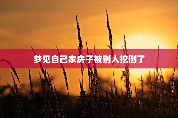 梦见自己家房子被别人挖倒了