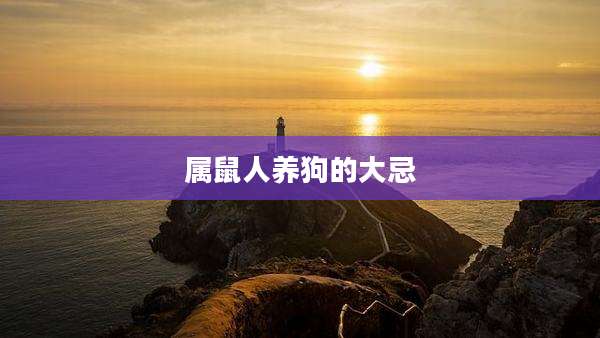 属鼠人养狗的大忌