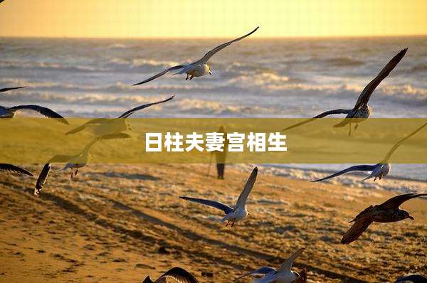 日柱夫妻宫相生