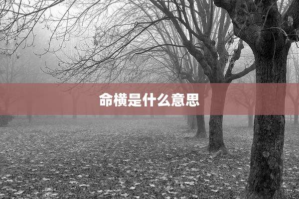 命横是什么意思