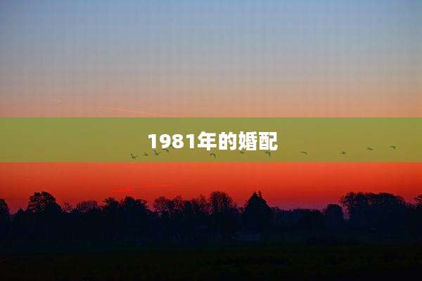 1981年的婚配