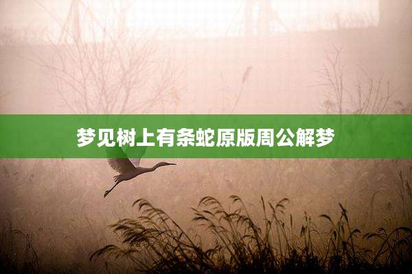梦见树上有条蛇原版周公解梦