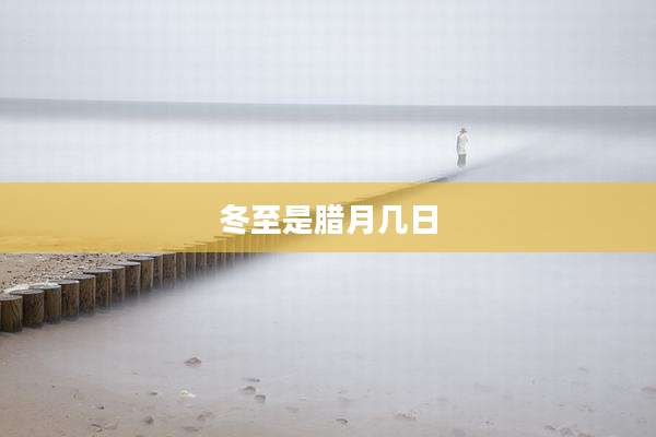 冬至是腊月几日