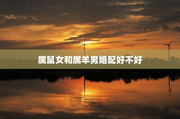 属鼠女和属羊男婚配好不好