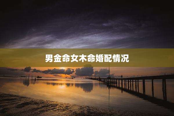 男金命女木命婚配情况