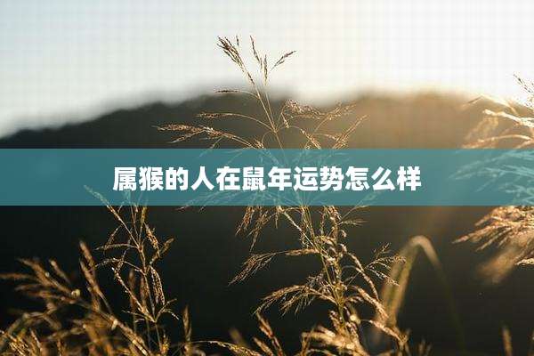 属猴的人在鼠年运势怎么样