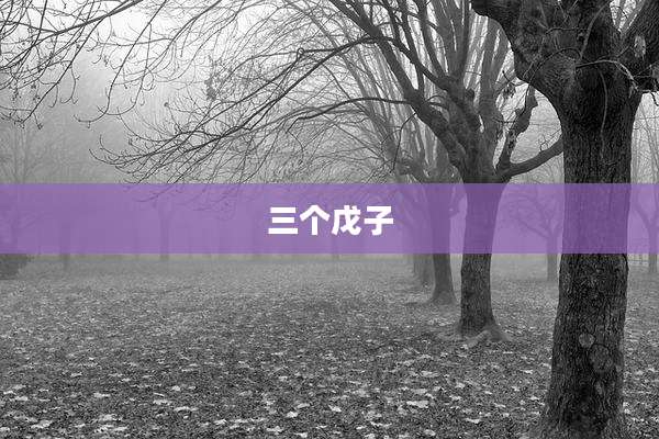 三个戊子
