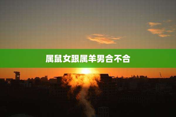 属鼠女跟属羊男合不合