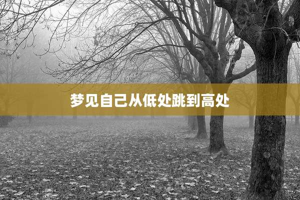 梦见自己从低处跳到高处