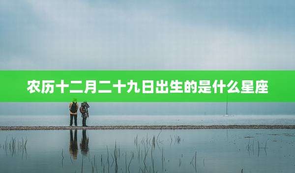 农历十二月二十九日出生的是什么星座