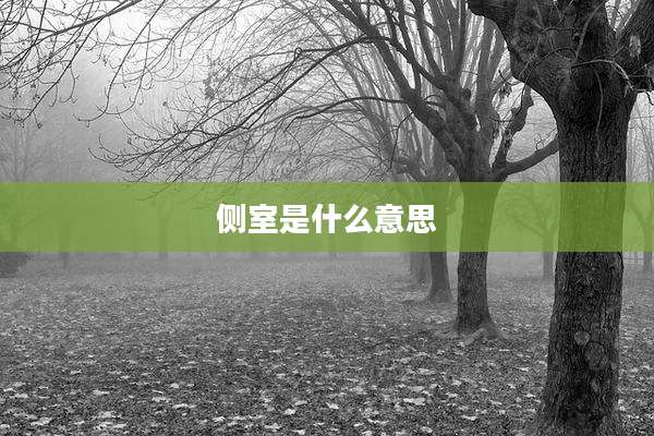 侧室是什么意思