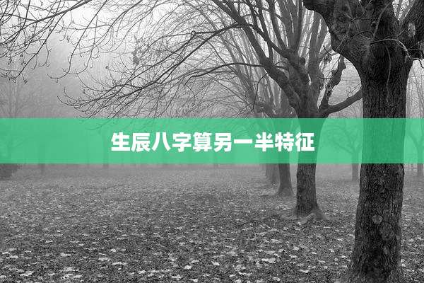生辰八字算另一半特征