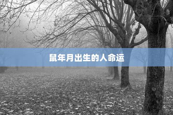 鼠年月出生的人命运