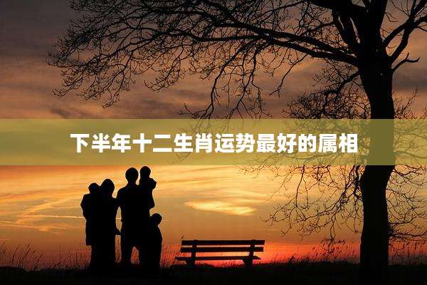 下半年十二生肖运势最好的属相