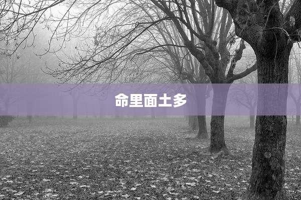 命里面土多