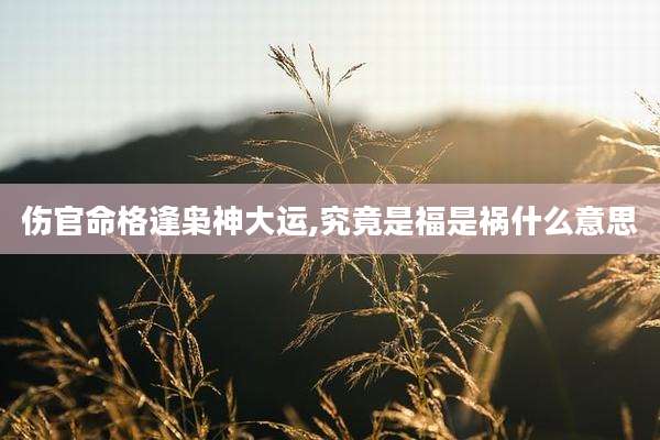 伤官命格逢枭神大运,究竟是福是祸什么意思