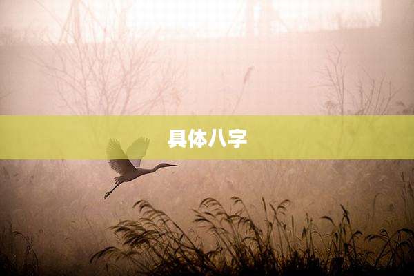 具体八字