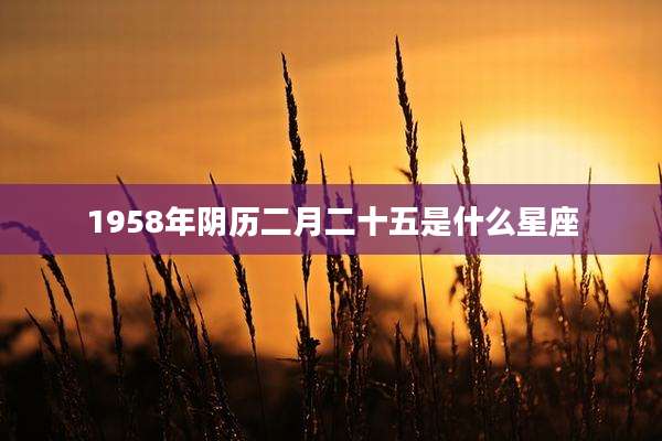 1958年阴历二月二十五是什么星座