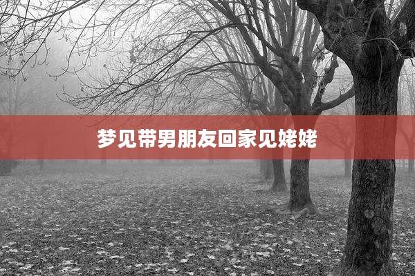 梦见带男朋友回家见姥姥