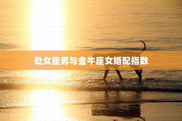 处女座男与金牛座女婚配指数