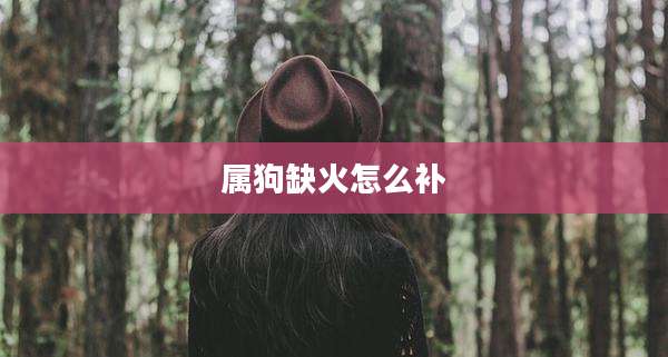 属狗缺火怎么补