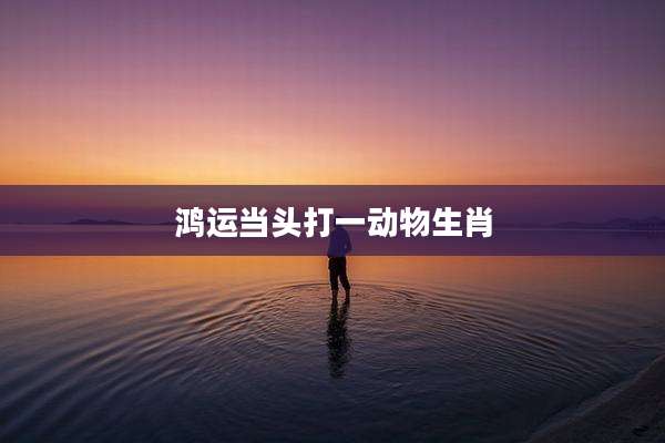 鸿运当头打一动物生肖