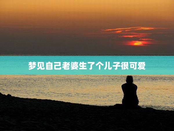 梦见自己老婆生了个儿子很可爱