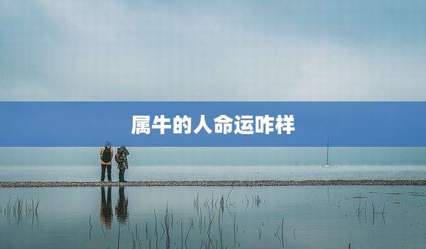 属牛的人命运咋样