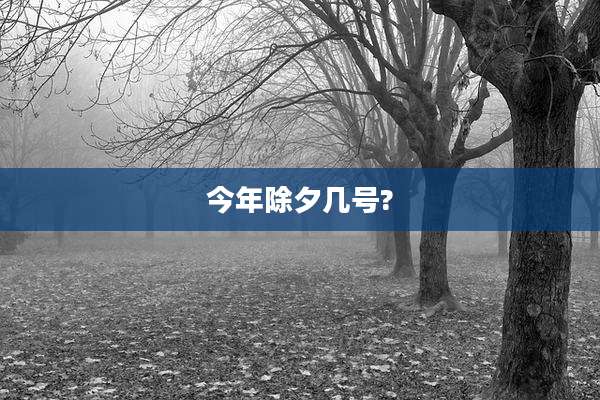 今年除夕几号?