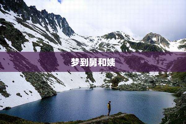 梦到舅和姨
