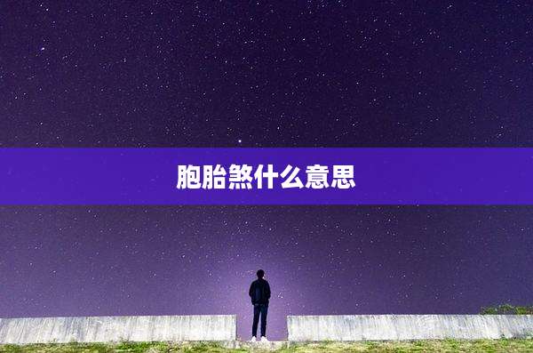胞胎煞什么意思