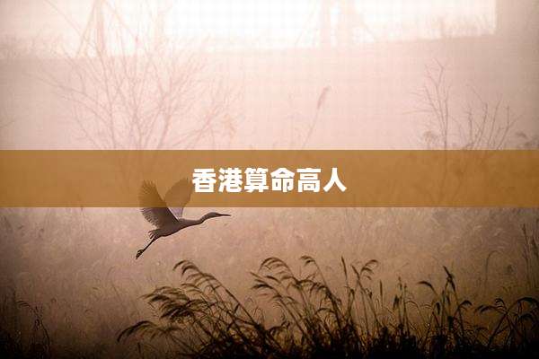 香港算命高人