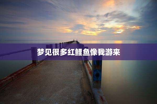 梦见很多红鲤鱼像我游来
