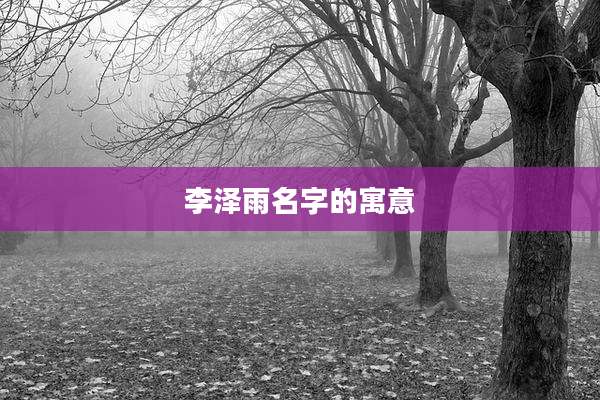 李泽雨名字的寓意