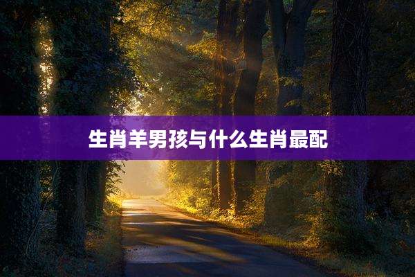 生肖羊男孩与什么生肖最配