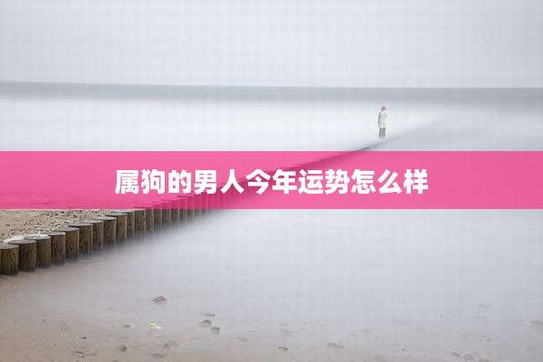 属狗的男人今年运势怎么样