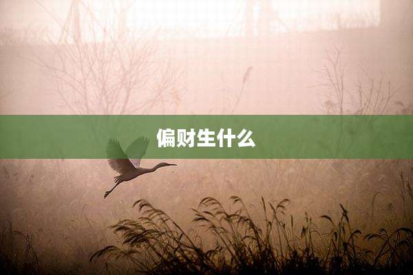 偏财生什么