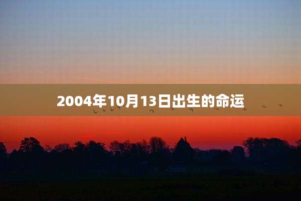2004年10月13日出生的命运