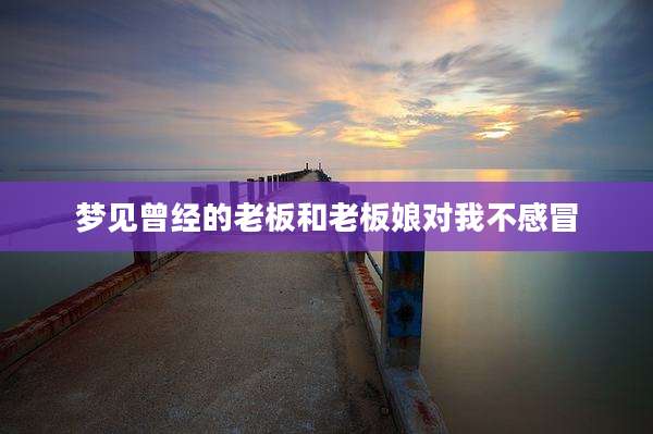 梦见曾经的老板和老板娘对我不感冒