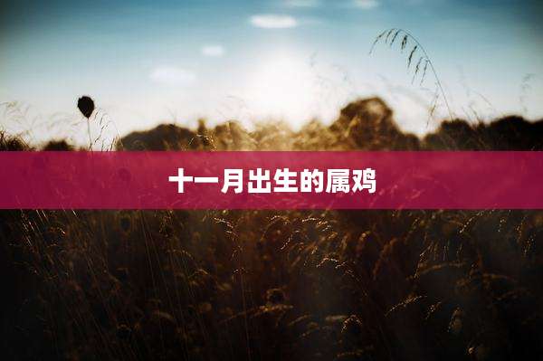 十一月出生的属鸡